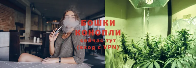 хочу наркоту  Камышин  Бошки марихуана SATIVA & INDICA 